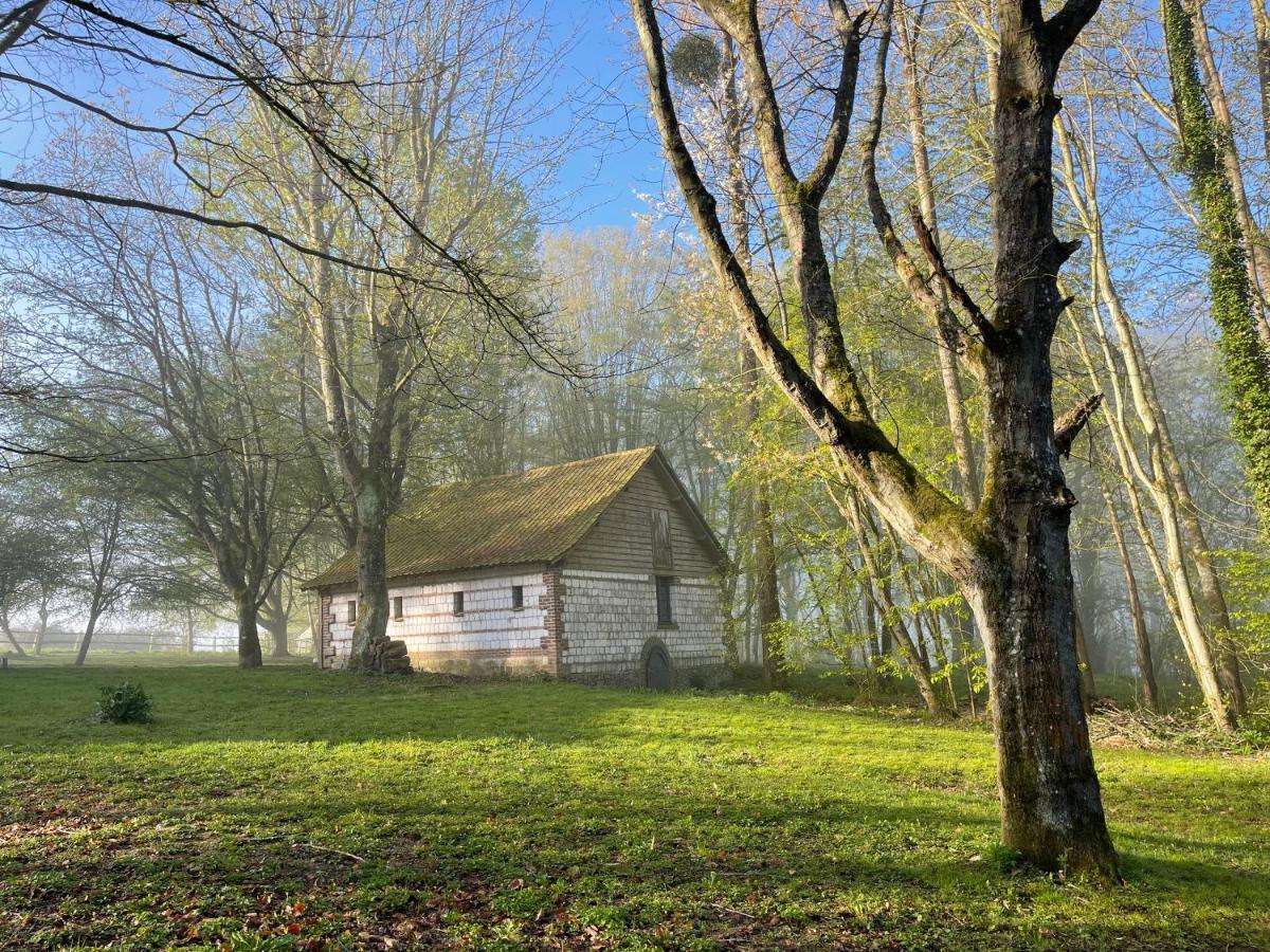 Bed and Breakfast Domaine De Fresnoy Loison-sur-Créquoise Zewnętrze zdjęcie